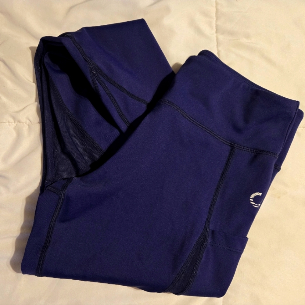 Deep Purple Mesh Leggings